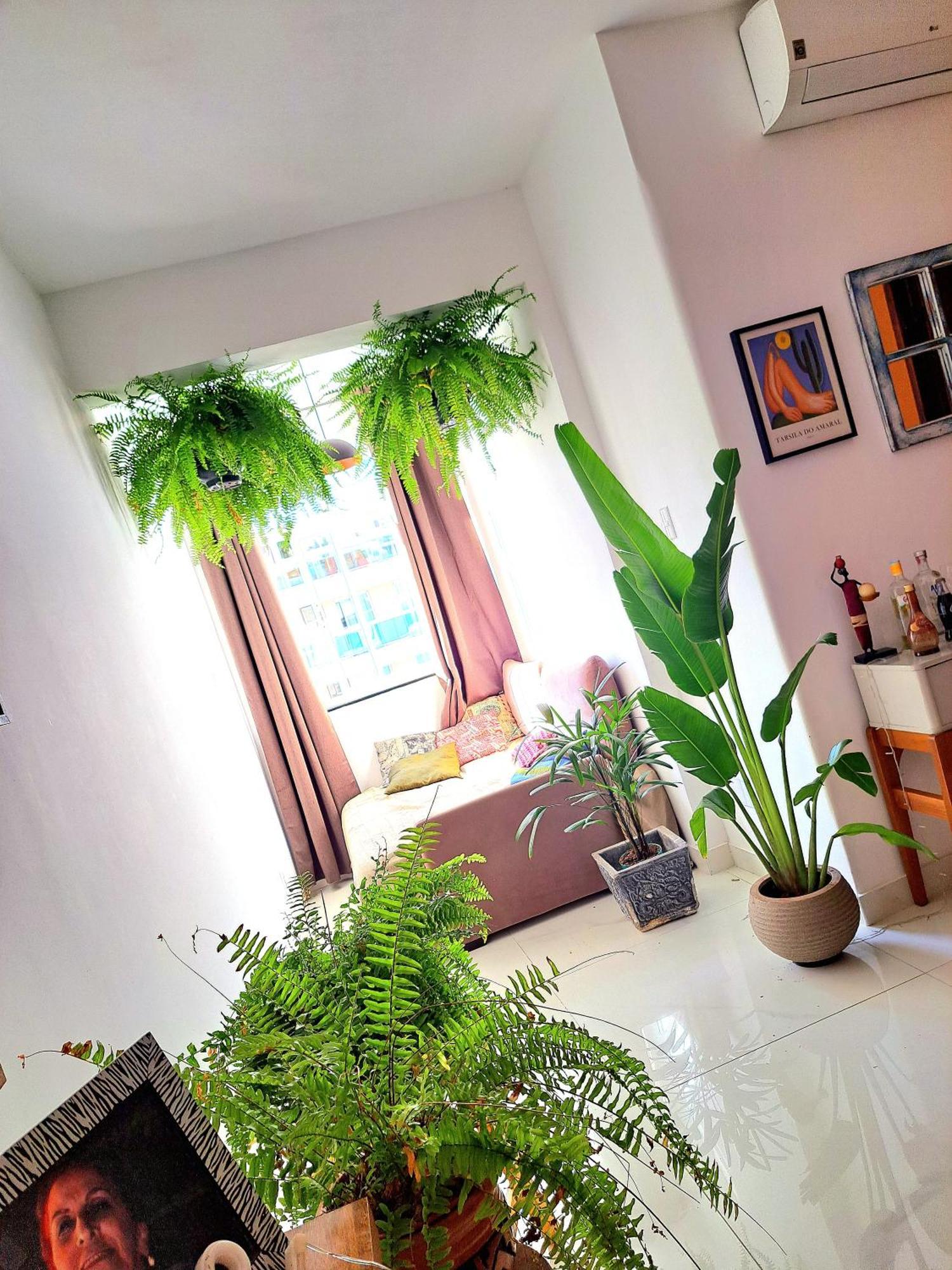 Quarto Com Anfitriao Rj Rio de Janeiro Esterno foto